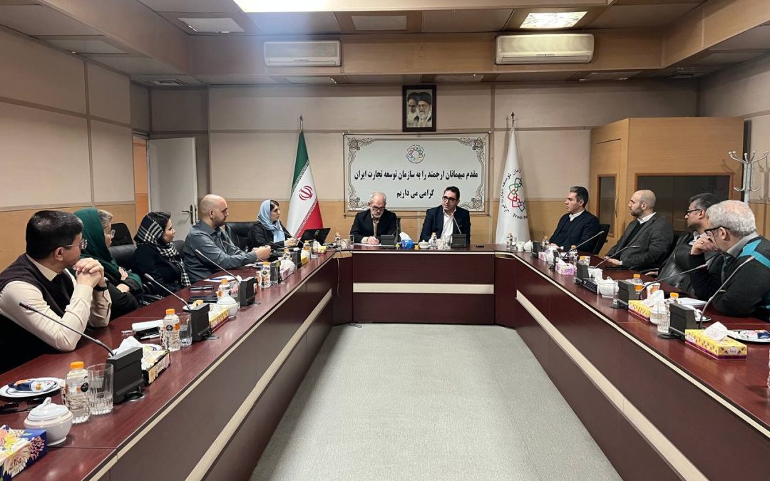 صادرات هوشمند به جای صادرات سنتی؛ پلیمرها پیشگام تحول در تجارت ایران