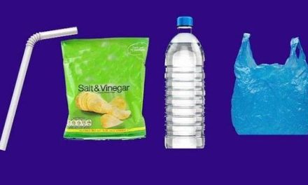 رویای شهرهای بدون پلاستیک؛ وقتی آرمان‌گرایی به بن‌بست می‌رسد