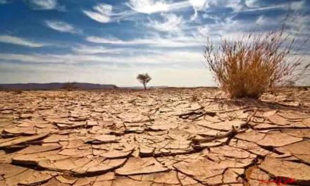 هشدار جدی درباره خشکسالی/ سخنگوی صنعت آب: بارش‌های ال‌نینو بدهی آبخوان‌ها را جبران نمی‌کند